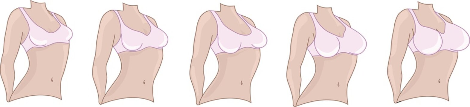 Woman breast size. Boobs sizes from small to big.