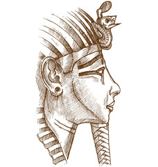 gold tutankhamon mask hand drawn - obrazy, fototapety, plakaty