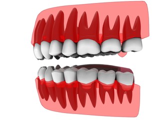  3d illustration of x-ray gum with teeth and tongue. icon for game web. white background isolated. colored and cute. anatomy part of the mouth.