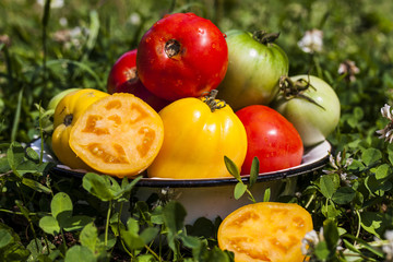 colorful tomatoes in bowl
