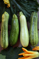 fresh green zucchini