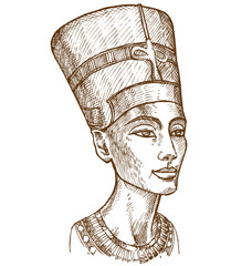 Bust of Nefertiti hand drawn - obrazy, fototapety, plakaty