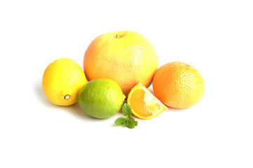 Citrus fruits isolated on white background