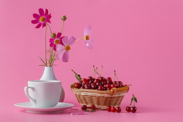 Cherries in the basket on a pink background with leaves and flow