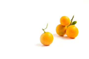 Orange Kumquat placed on white background