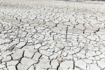 Cracked soil