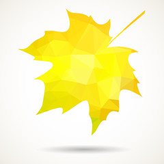 Obraz premium Triangular maple leaf