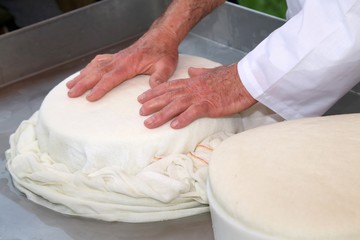 hands of an old and expert cheesemaker over the freshly cheese i
