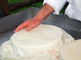 hands of expert cheesemaker over the freshly cheese in the dairy