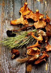 Arrangement of Dried Mushrooms