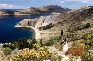Obraz premium South America, Titicaca lake, Bolivia, Isla del Sol landscape