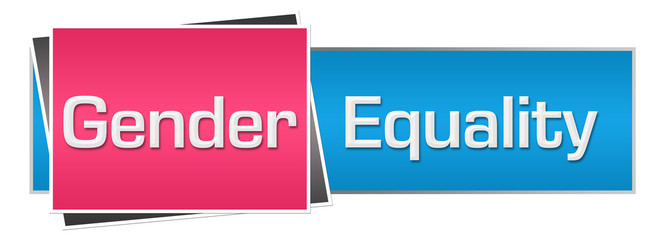 Gender Equality Pink Blue Horizontal 