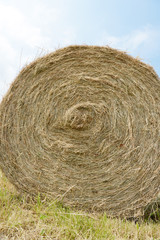 Heuballen auf dem Feld, Heuernte