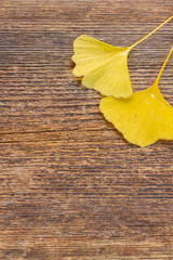 Fototapeta na wymiar Fall leaves on wooden background