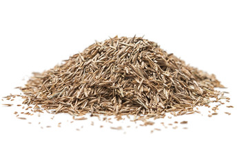 Pile of grass seed