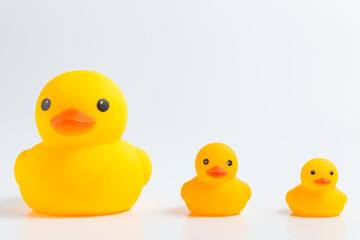 sort by size three yellow rubber ducks isolate on white background