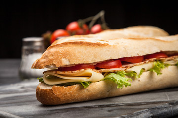 Panini grilled sandwich