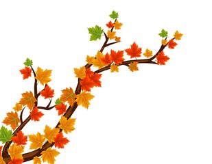 Branch With Autumn Leaves In Falling