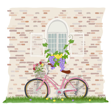 Pink Bicycle, Pink Wall, Window, Vine Plant, Flower, Green Grass.