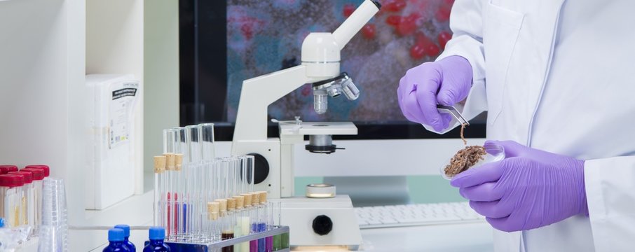 Banner Lebensmittelhygiene im Labor