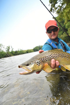 Fly-fisherman holding brown trout out of the water