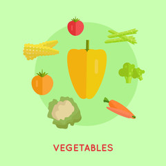 Set of Vegetables Vector Illustration.  