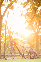 Fototapeta premium Mountain bike