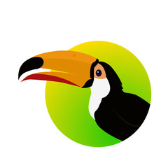Toucan Bird Flat Design Vector Illustration