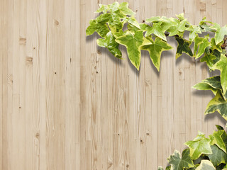 Wooden texture and plant