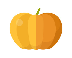 Pumpkin Vector Illustration in Flat Style Design.  