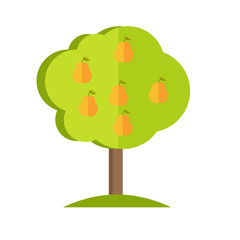 Pear Tree vector illustration in flat style design. 