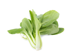 Pok Choi on white background