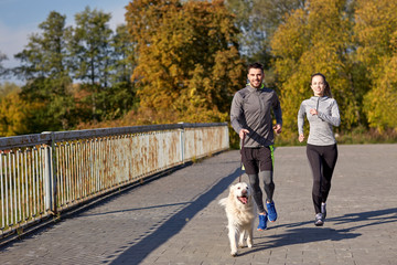 Obraz premium happy couple with dog running outdoors