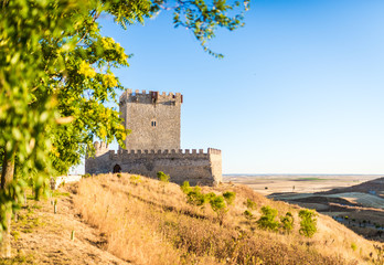 Castle of Tiedra, Route of the castles, Valladolid, Castilla y Leon, Spain