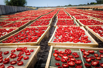 Sun dried tomatoes in Sicily
