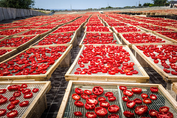 Sun dried tomatoes in Sicily