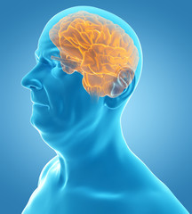 Obraz premium 3d rendered medically accurate illustration of an old man´s brain