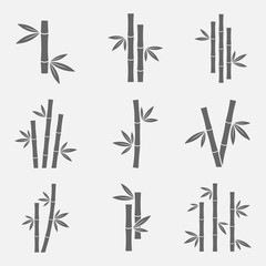 Obraz premium Bamboo icons vector set
