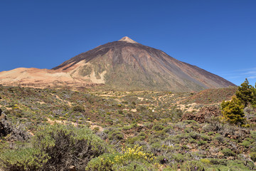 Fototapeta premium Gipfel des Teide