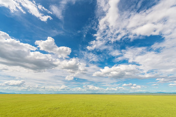 Fresh Landscape view of green grass field with blue sky