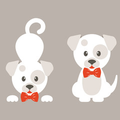 cartoon dog white set
