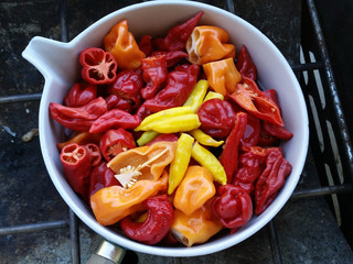 Hot Peppers in a pot