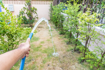 a man watering the garden