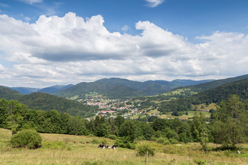 Village des Vosges