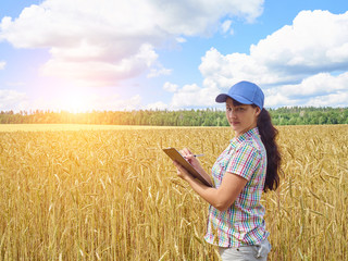 Naklejka na ściany i meble Farmer girl in a plaid shirt controlled his field wheat