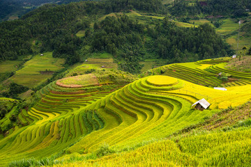 beautiful landscape view of rice terraces and house in Mu cang c
