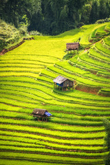 beautiful landscape view of rice terraces and house - 116636633