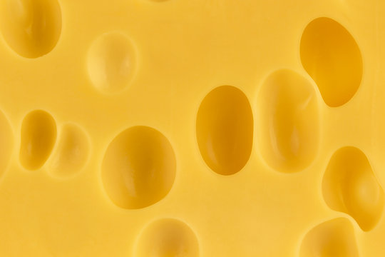 Texture of swiss cheese, close-up
