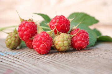 raspberry on a branch with leaves on wooden background