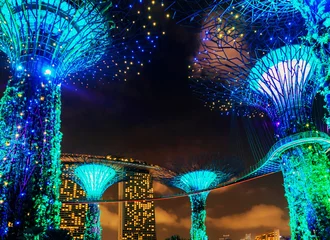 Foto op Canvas Supertrees grove by Gardens by the Bay in Singapore © Roman Babakin